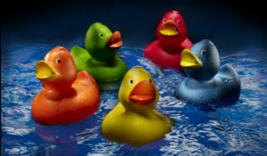 dunn-photography-professional-commercial-photographer-new-hampshire-american-water-duckies